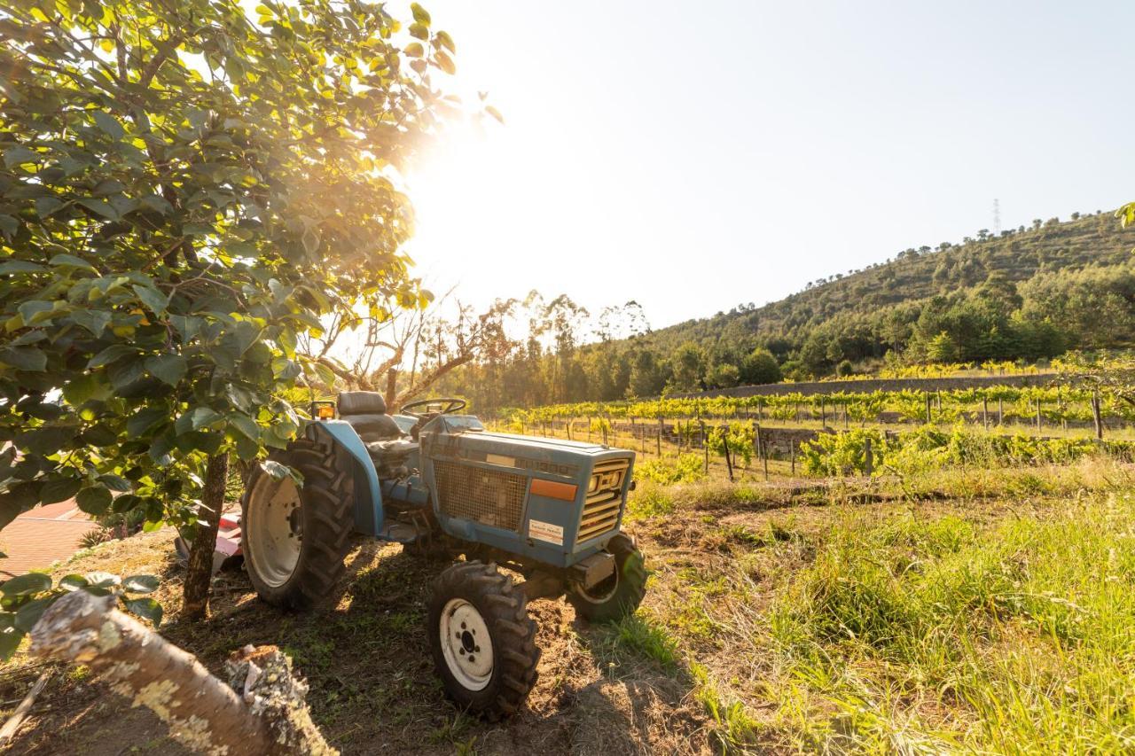Quinta Da Fonte - Agroturismo Barroselas Екстериор снимка