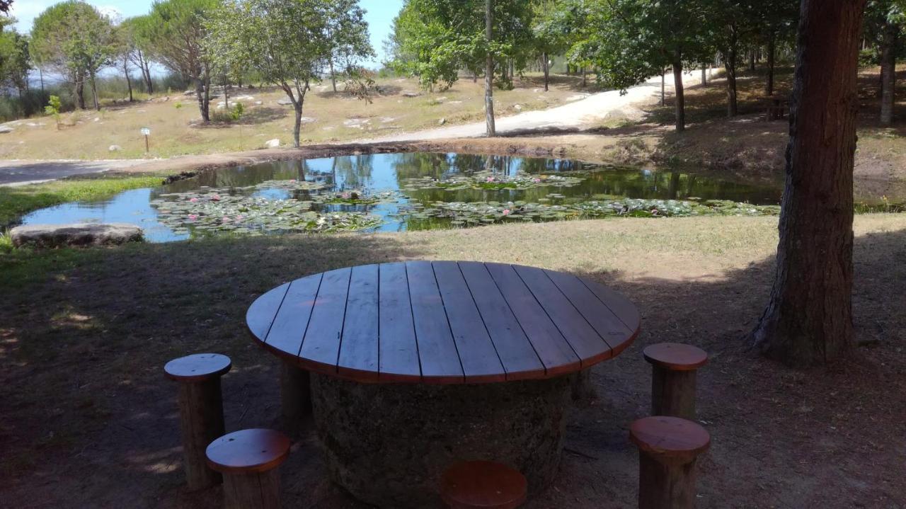 Quinta Da Fonte - Agroturismo Barroselas Екстериор снимка