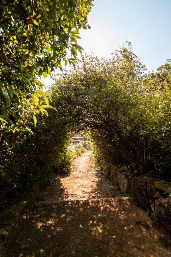 Quinta Da Fonte - Agroturismo Barroselas Екстериор снимка