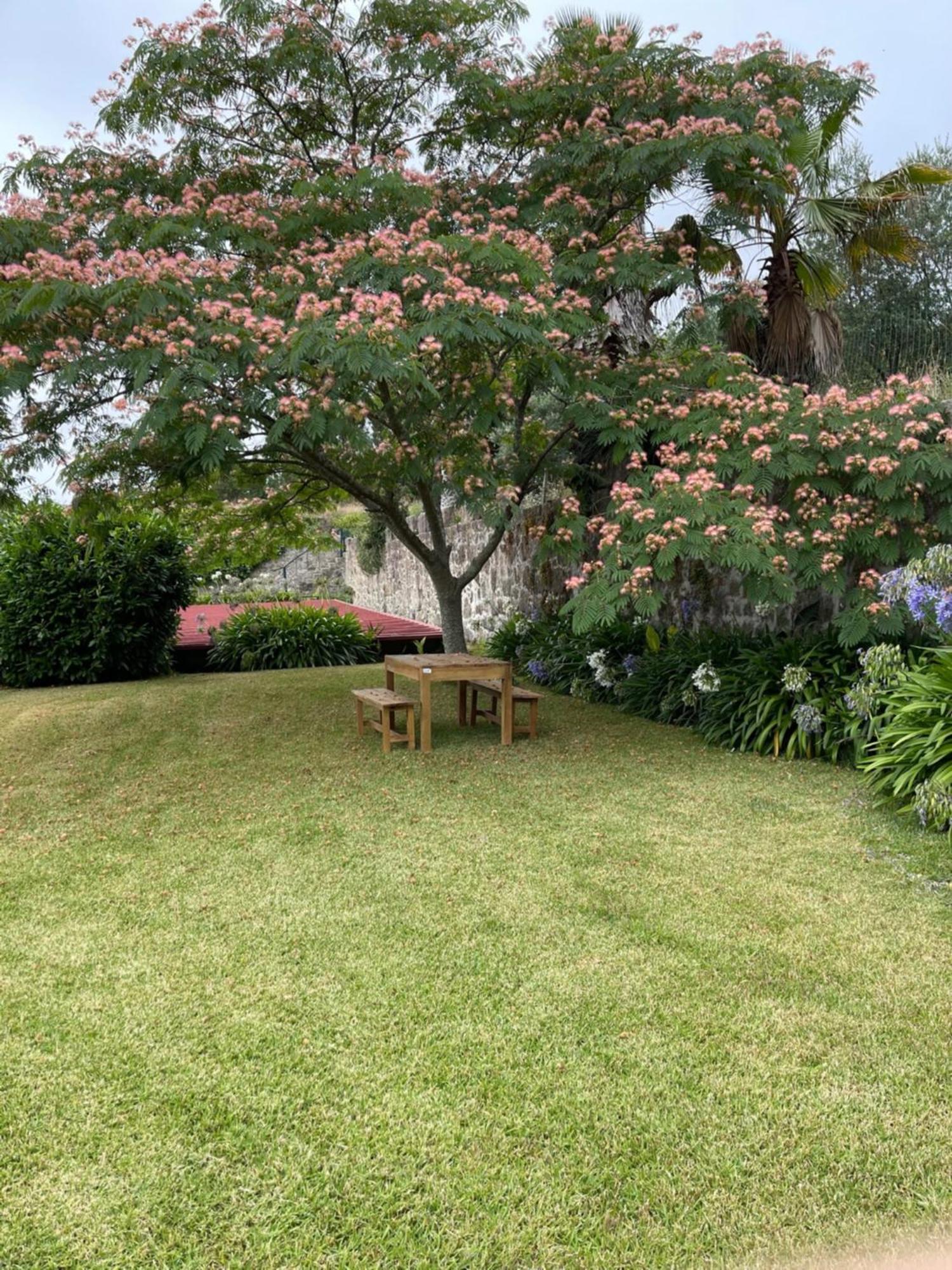 Quinta Da Fonte - Agroturismo Barroselas Стая снимка